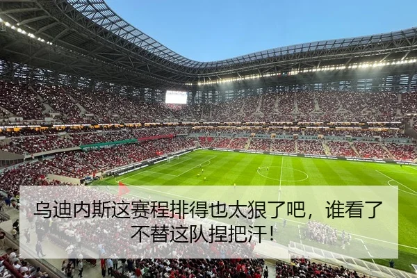 乌迪内斯这赛程排得也太狠了吧，谁看了不替这队捏把汗！